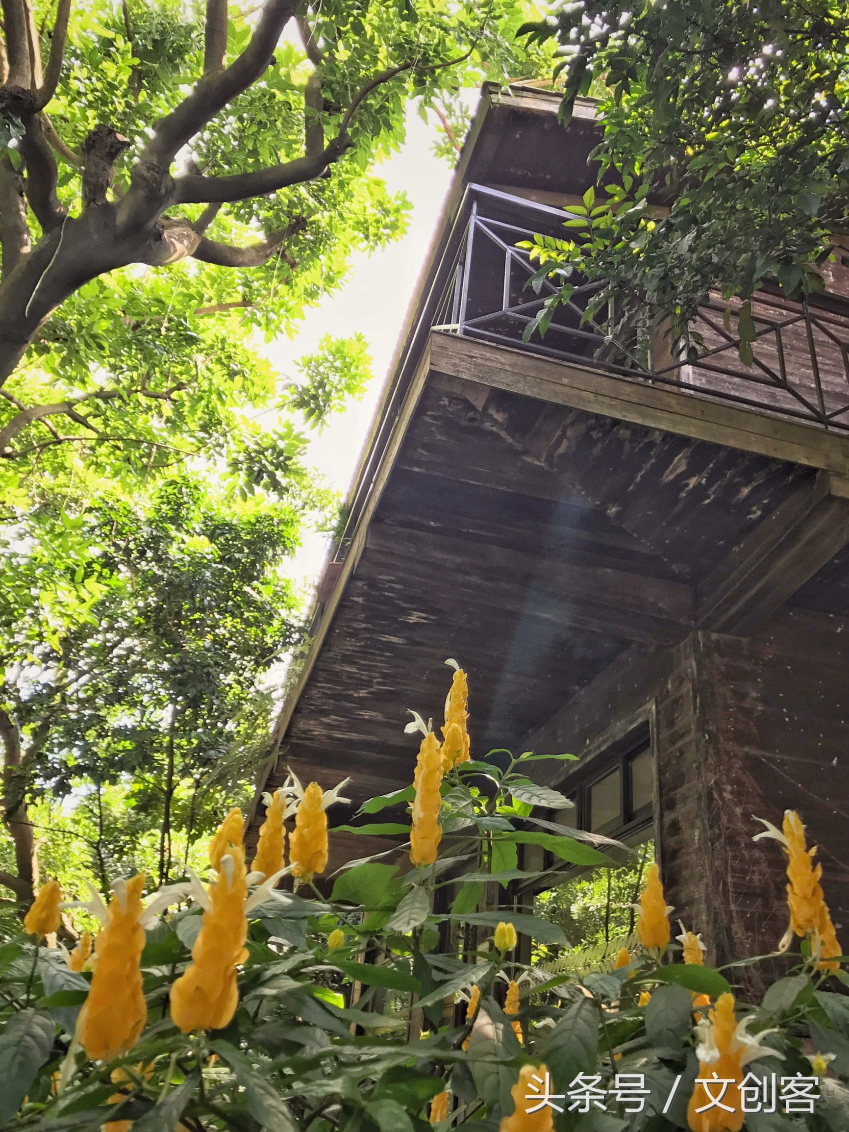 深圳青青世界累吗,深圳青青世界夏天热吗