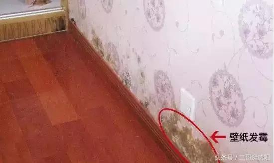 为什么贴墙纸前一定要刷基膜?咸阳正大摩曼壁纸店给你说说