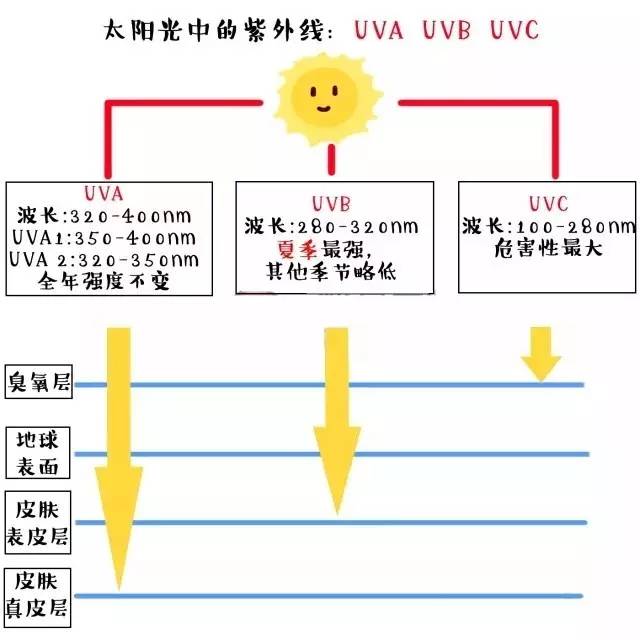 外油内干是怎么样的,外油内干的真实原因