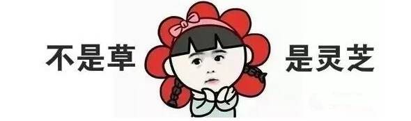 可以真正美白的美白神器,日本十大最好的美白产品