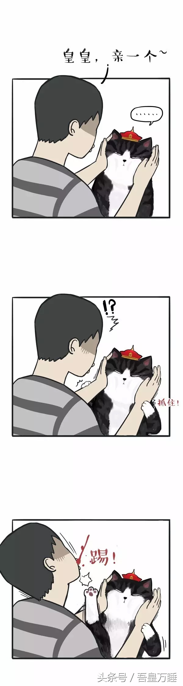 吾皇猫到底是个什么,吾皇猫现实叫什么