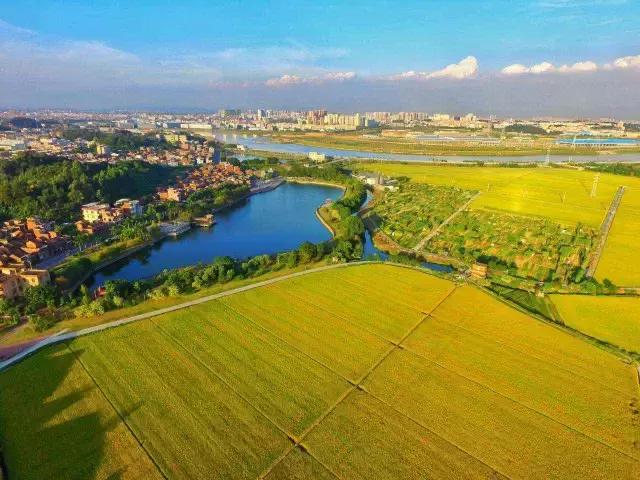 广东22地市航拍图惊艳登场，发现我家乡最美！