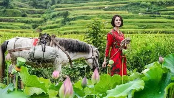 苗族和犹太人,苗族一个神秘且色彩斑斓的民族