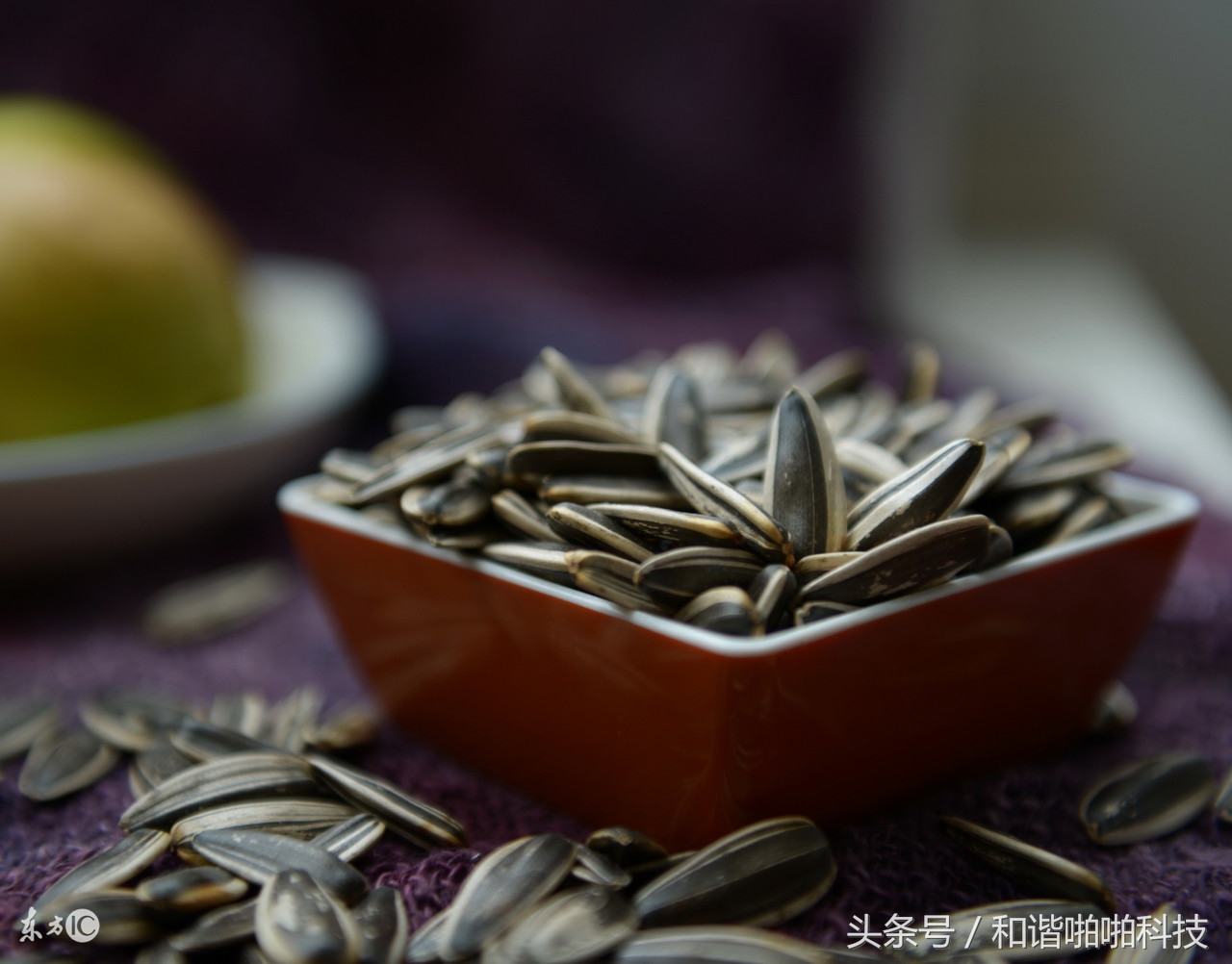 预防疾病的健康长寿食物,4种公认的长寿食物你知道几个