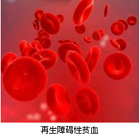 血液病医者史淑荣,北京血液病研究所史淑荣