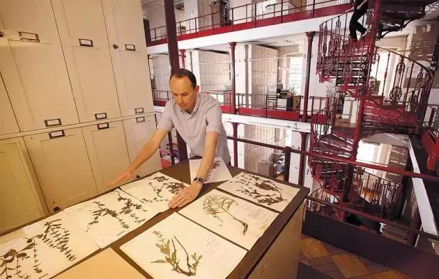 人工智能版“薄雾君”：准确率近80%，物种识别不在话下