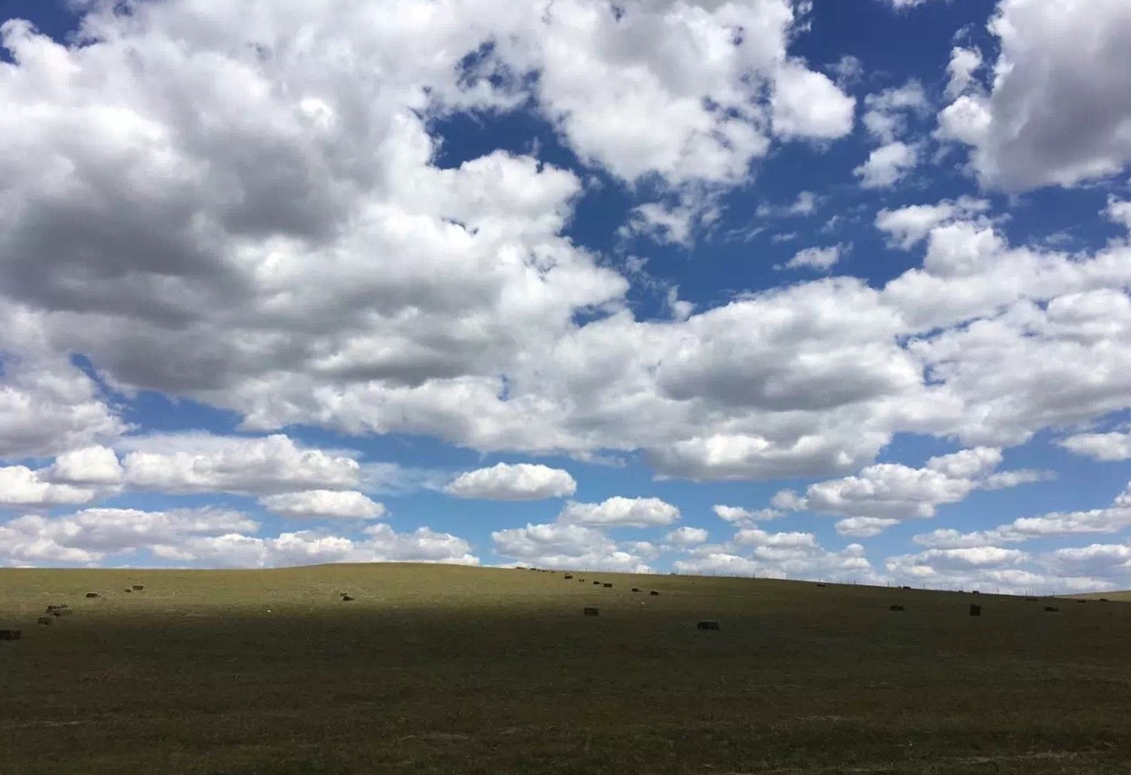 北京朝阳蟹岛度假村,蟹岛生态度假村