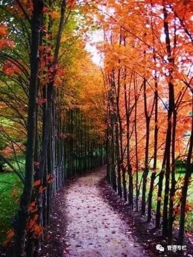 厚黑学目的是让人厚道还是厚黑,厚黑学五个厚黑秘诀