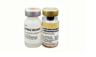 关于猫打疫苗的知识,自己给猫猫打疫苗的正确方法