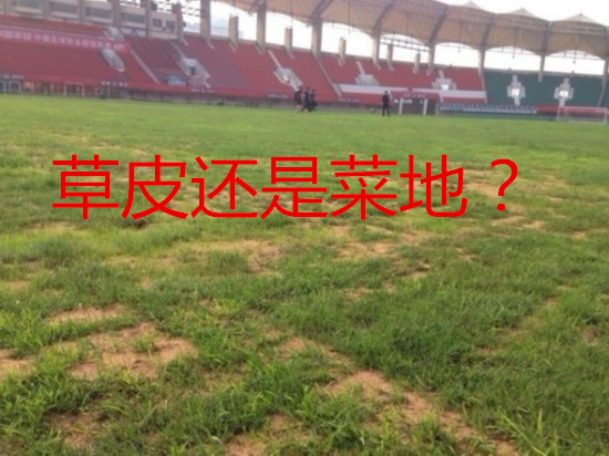 “强队杀手”还是“菜地杀手”？建业主场草皮被引巨大争论！