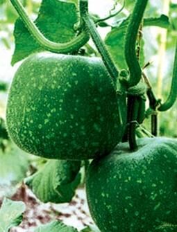 一次祛斑成功的经验,十年祛斑经验分享