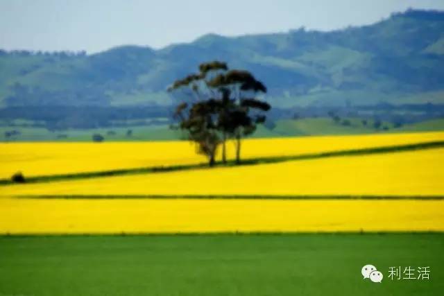 ppt技巧揭秘这些功能您会使用了吗,ppt附加文件