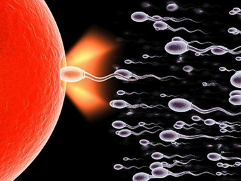 生过一个小孩二胎怀不上怎么办,生了一胎后二胎怀不上是什么原因