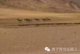 骑行新藏线阿里地区,骑行阿里大北线行程详细攻略