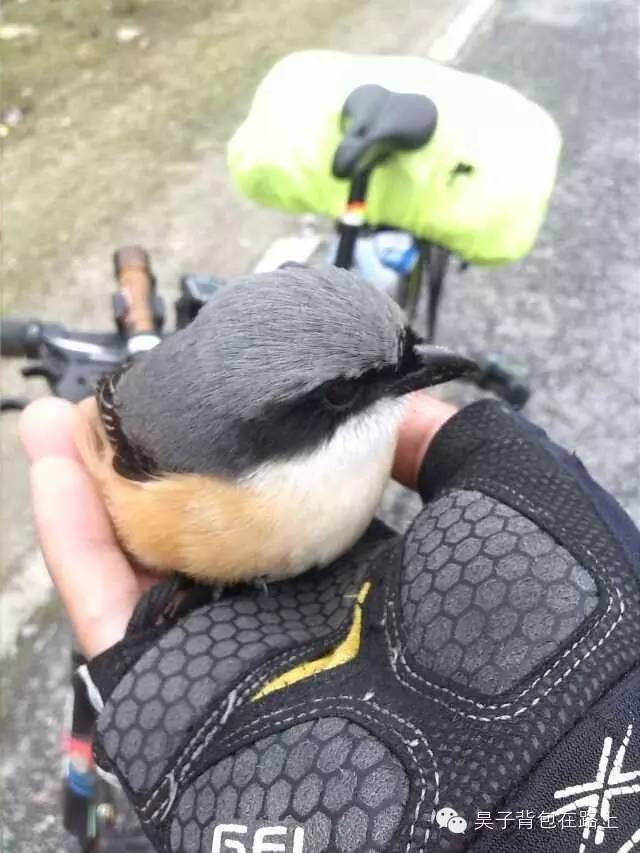 骑行新藏线阿里地区,骑行阿里大北线行程详细攻略