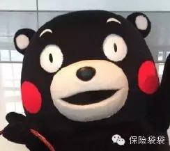 阳光车险保单没有不计免赔,车险保单不显示车损详细项目吗