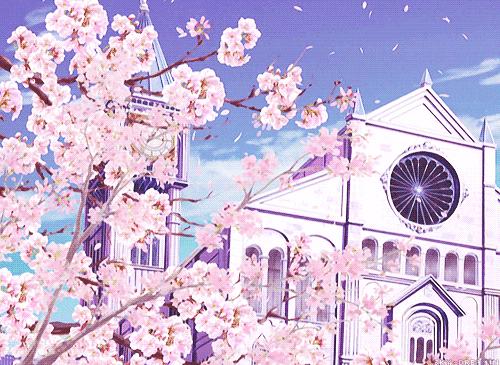 厦门海鲜姿造优惠,厦门悦鼎会海鲜自助