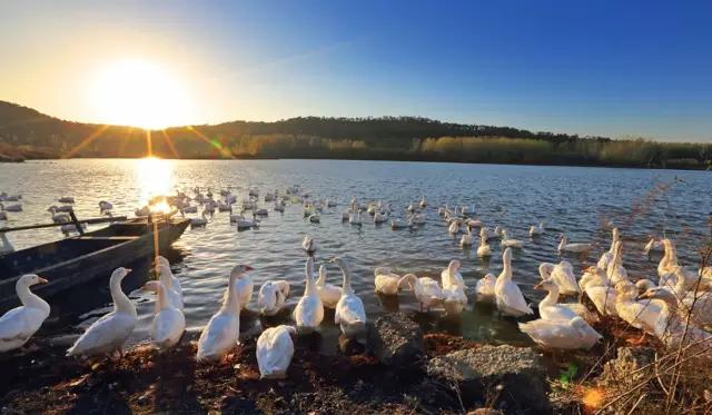 江苏经济排名后20的县,江苏各个县级经济排名前十