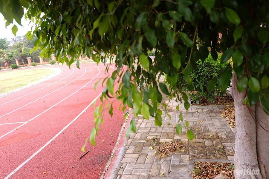 800块买个什么电脑好,800块买什么全新手机