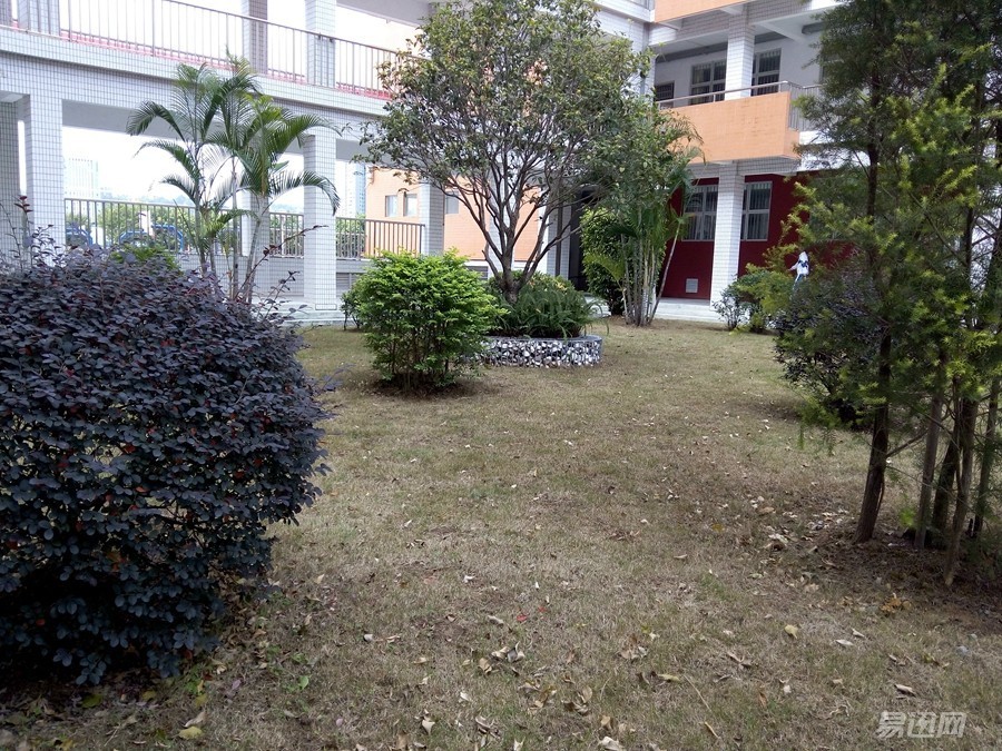 800块买个什么电脑好,800块买什么全新手机