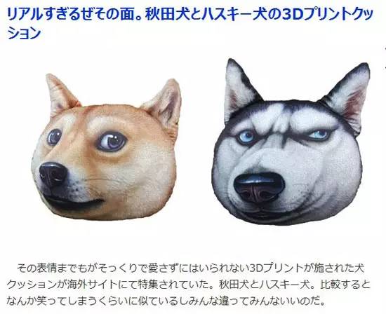 日本史上最具魔性的Doge抱枕你想入手一个吗