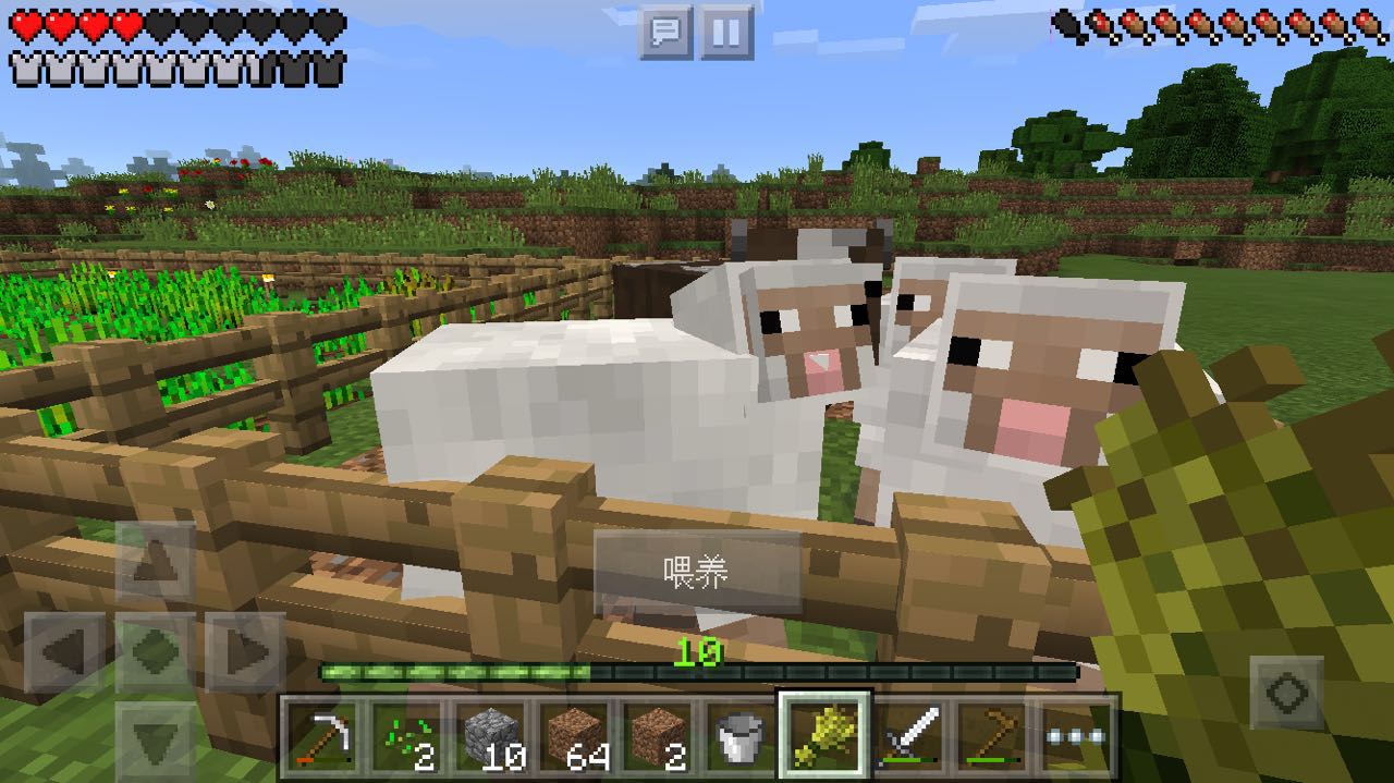 minecraftsteve鍓緫,褰搈inecraft鐜╁鏉ュ埌鎴戠殑涓栫晫