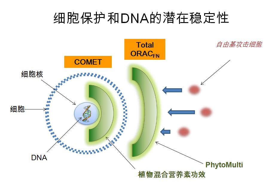如何用营养素治疗癌,治疗癌症的免疫治疗方法