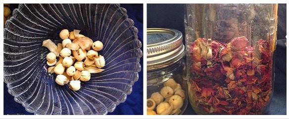 燕窝滋阴糖水,滋阴润燥的隔水炖燕窝