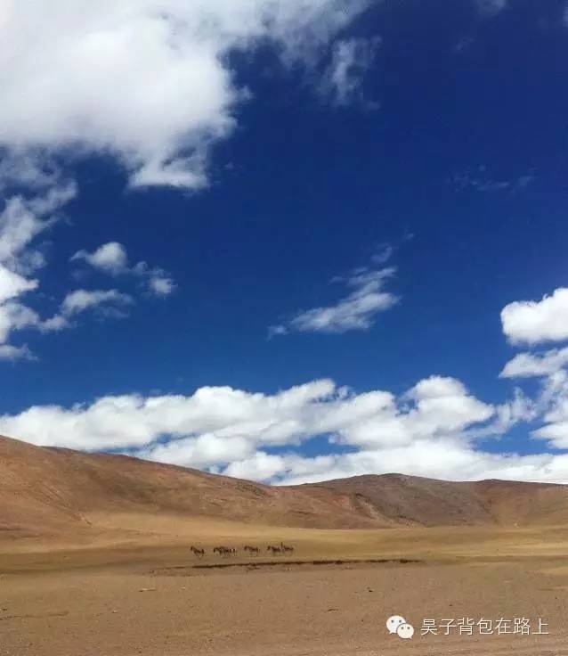 骑行新藏线阿里地区,骑行阿里大北线行程详细攻略