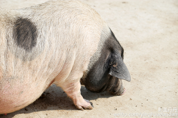 牵着小手去旅行,牵着小手去旅游