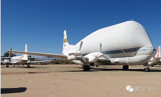 变异变形飞机,变异飞机鹦鹉