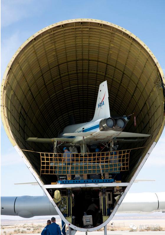 变异变形飞机,变异飞机鹦鹉