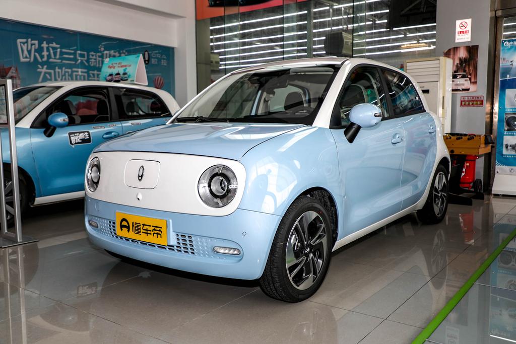 广西在哪里可以买到欧拉黑猫,广西福泰欧拉店