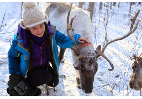 牧马少年歌曲完整版,牧马少年草原