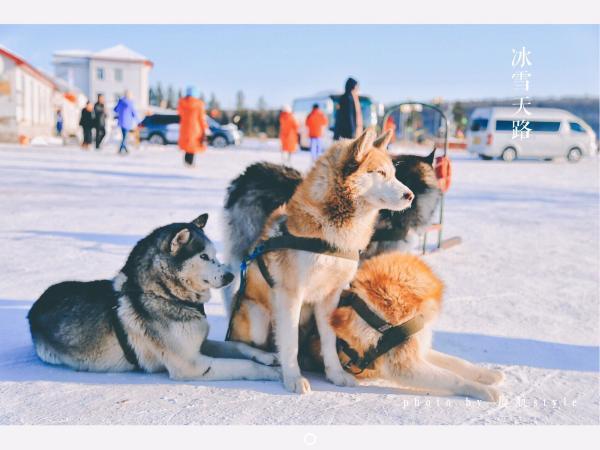 牧马少年歌曲完整版,牧马少年草原