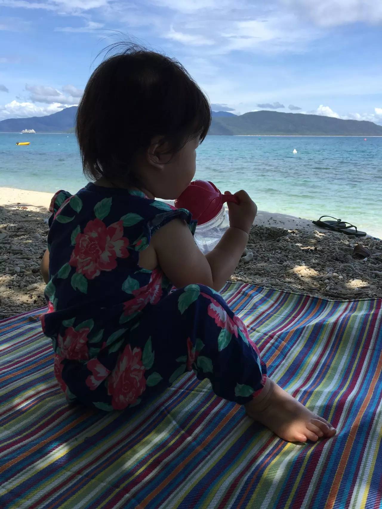 澳洲儿童保温吸管杯,澳洲儿童吸管水杯