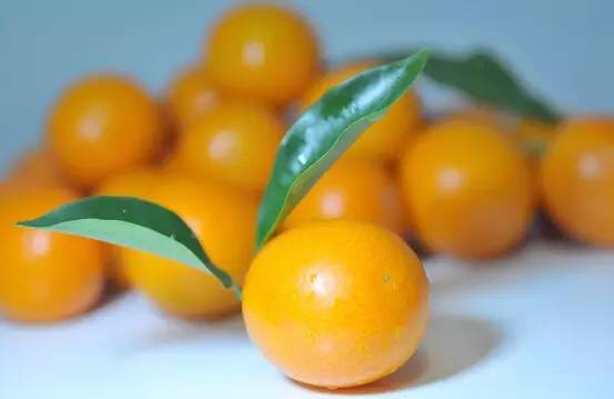 从a到z的食物单词,从a到z开头的食物英文