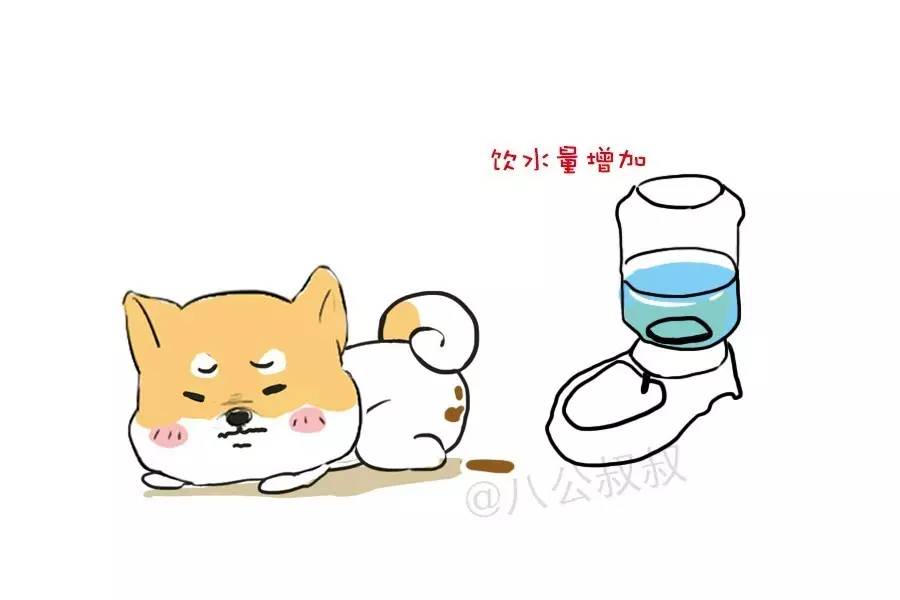 怎样缓解狗狗肠胃炎肚子疼,狗狗慢性肠胃炎可以吃西咪替丁吗