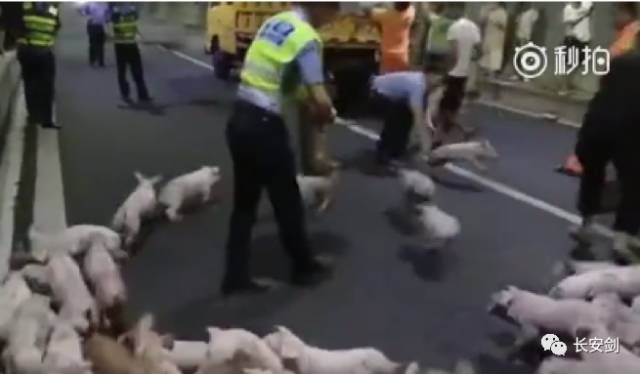 「三分钟法治新闻全知道」印尼民众围堵大马使馆,抗议马来西亚“颠倒红白”