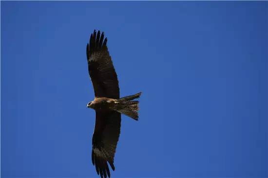 多彩阿勒泰哈巴河,多彩新疆阿勒泰禾木村