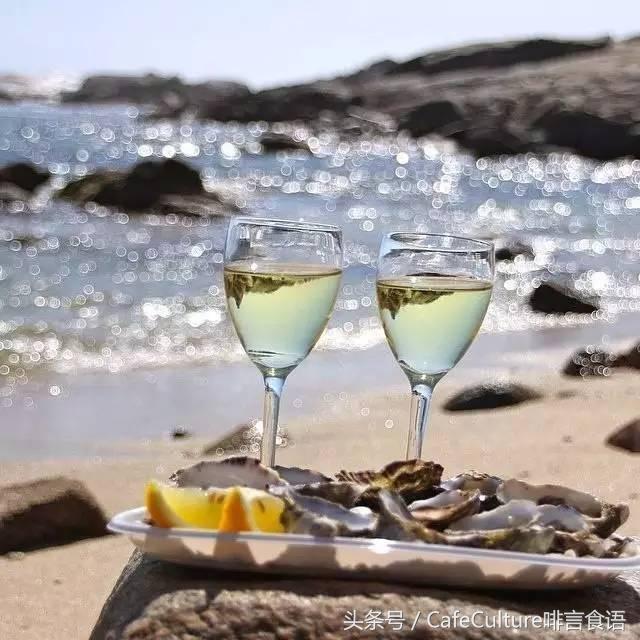 11月20-28日｜邀您参加澳大利亚金豆杯咖啡餐饮之旅