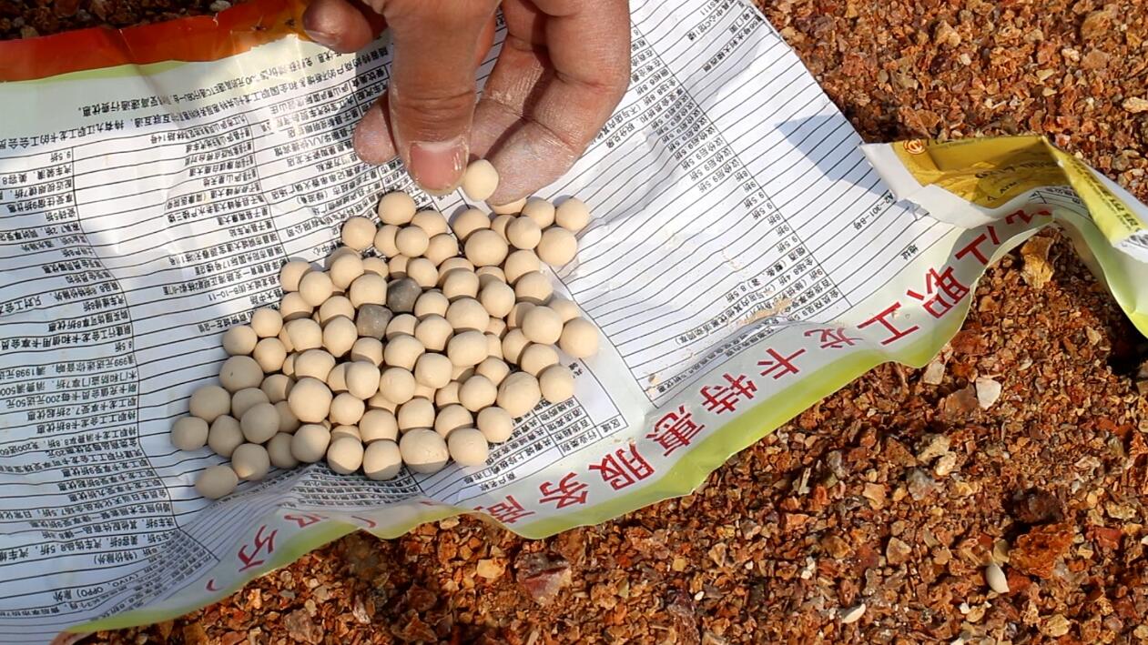 弹弓能不能射大型动物,弹弓能狩猎多远的猎物