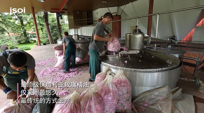 玫瑰美容护肤技巧,玫瑰护肤护理小知识