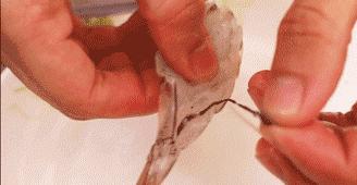 吃海鲜这些事一定要注意,吃海鲜了哪些水果不能吃