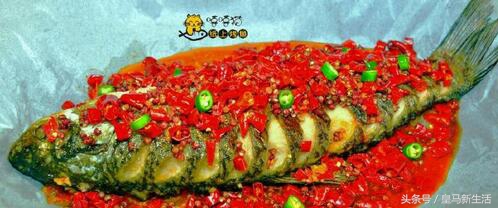 海口哪里的烤鱼最好吃,海口好吃高级海鲜店