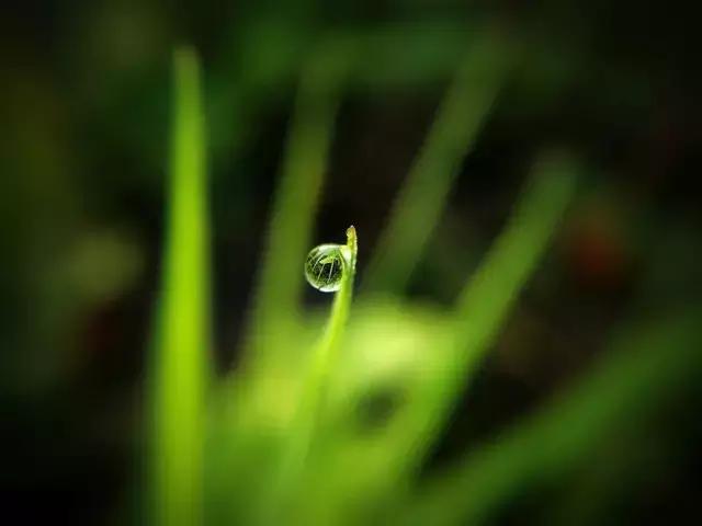 摄影背景模糊人物清晰,变焦模糊摄影教程