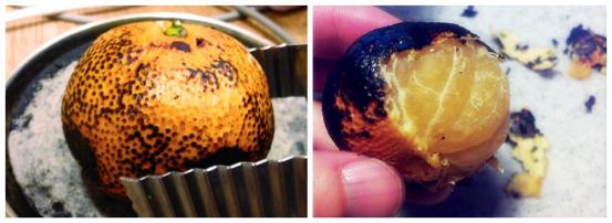 巧治儿童风寒咳嗽的食疗方法