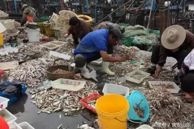 9月1号开海海鲜能便宜吗,9.1开海海鲜掉价吗