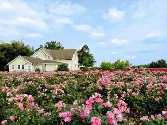 说走就走跟着抖音去旅行,说走就走出发视频