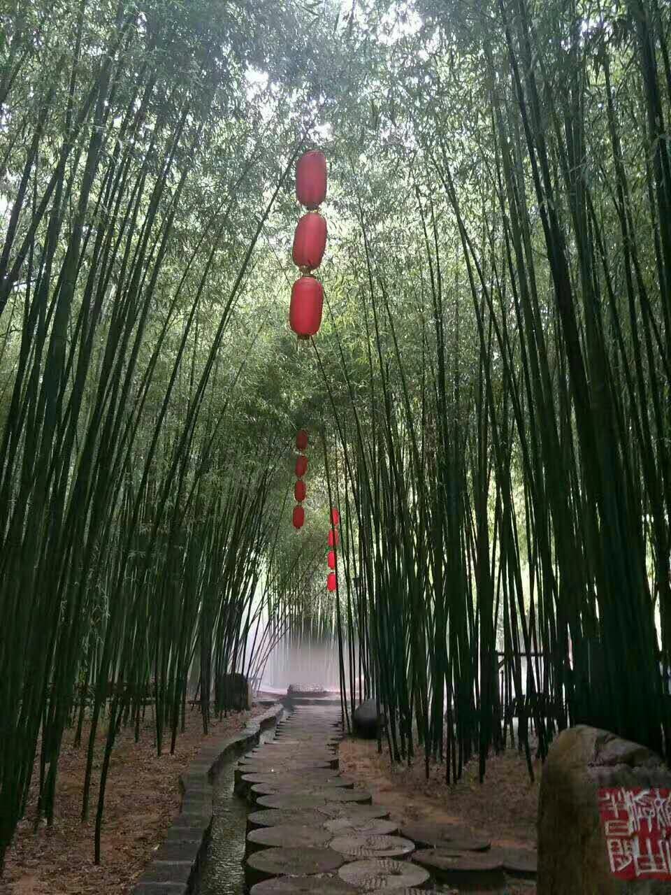 竹泉村景区,竹泉村咋样